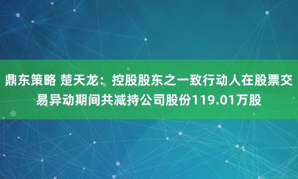 鼎东策略 楚天龙：控股股东之一致行动人在股票交易异动期间共减持公司股份119.01万股