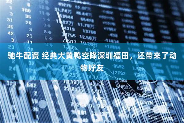 驰牛配资 经典大黄鸭空降深圳福田，还带来了动物好友