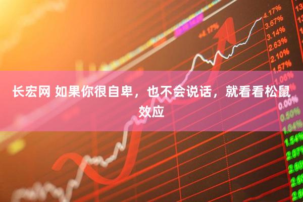 长宏网 如果你很自卑，也不会说话，就看看松鼠效应