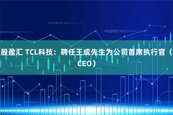 股盈汇 TCL科技：聘任王成先生为公司首席执行官（CEO）