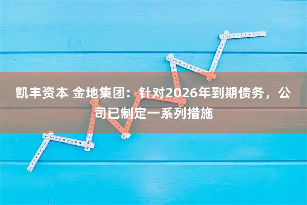 凯丰资本 金地集团:针对2026年到期债务,公司已制定一系列措施