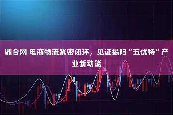 鼎合网 电商物流紧密闭环，见证揭阳“五优特”产业新动能